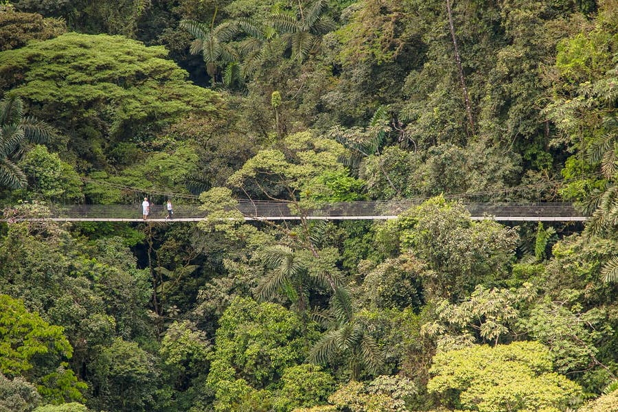 1.-hanging-bridges.jpeg