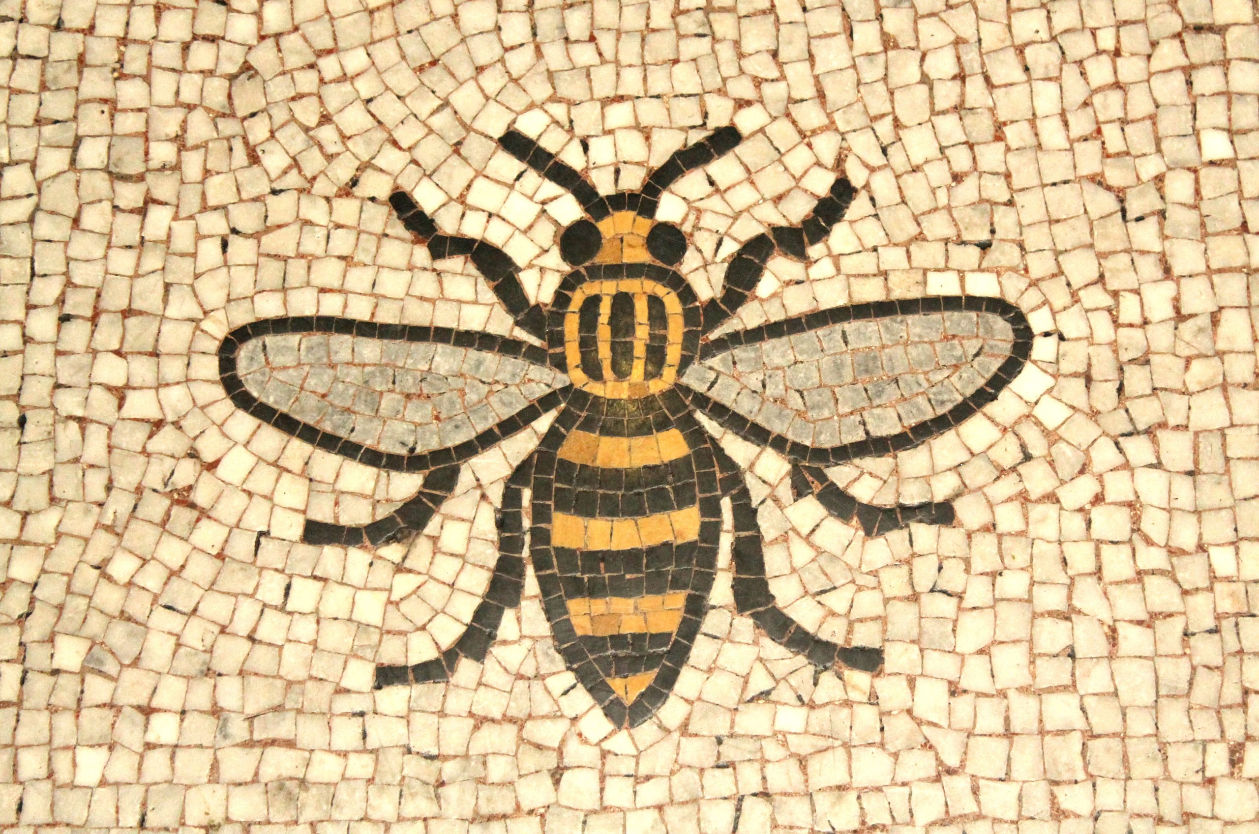 Manchester-Bee-scaled-1.jpg