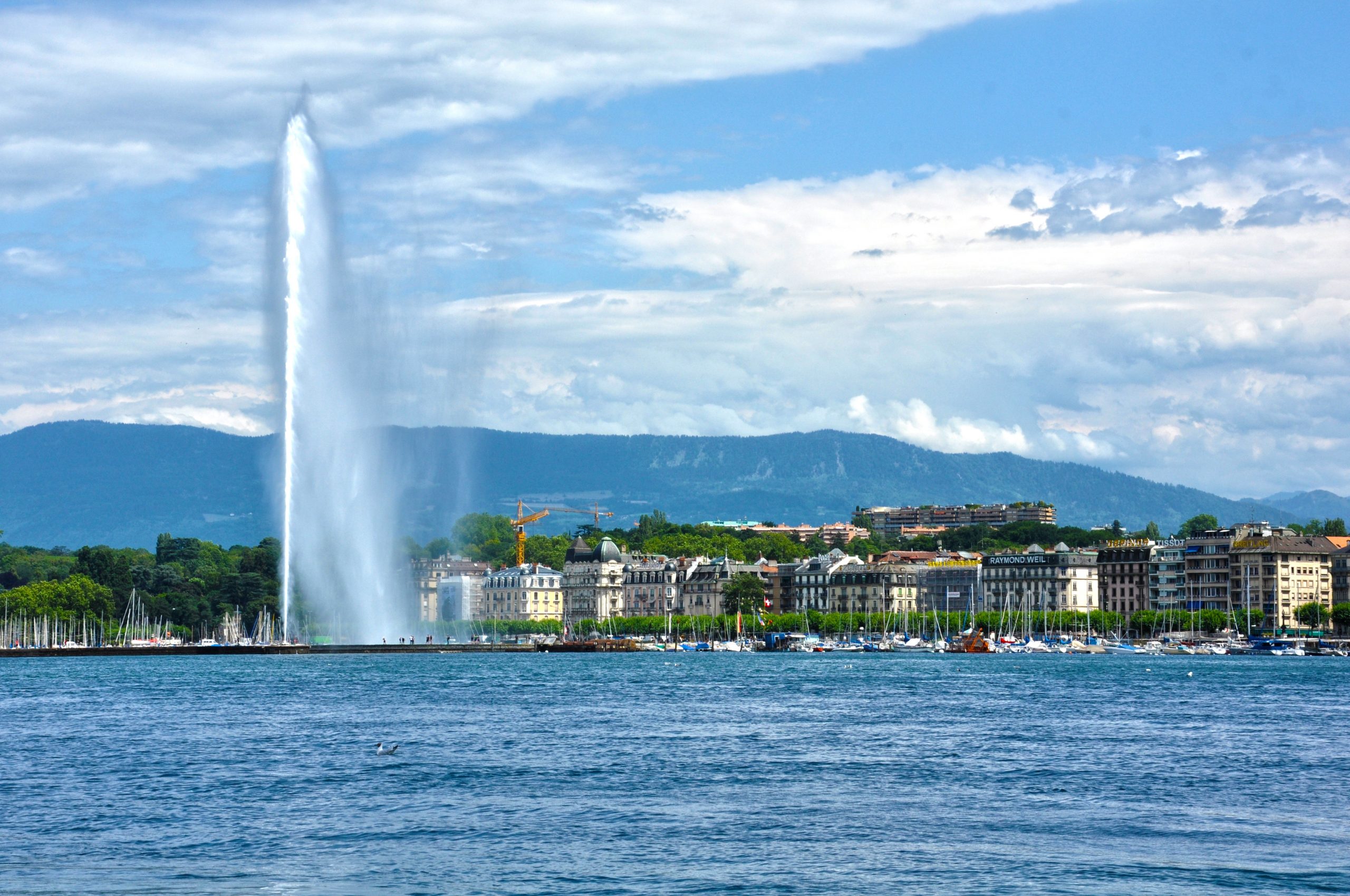 eau-geneva-scaled-1.jpg